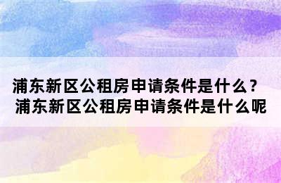 浦东新区公租房申请条件是什么？ 浦东新区公租房申请条件是什么呢